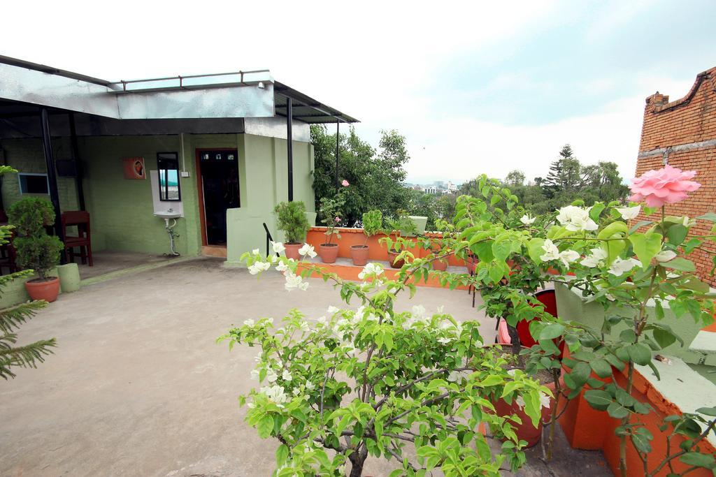 Hotel Backpackers Inn Katmandú Exterior foto